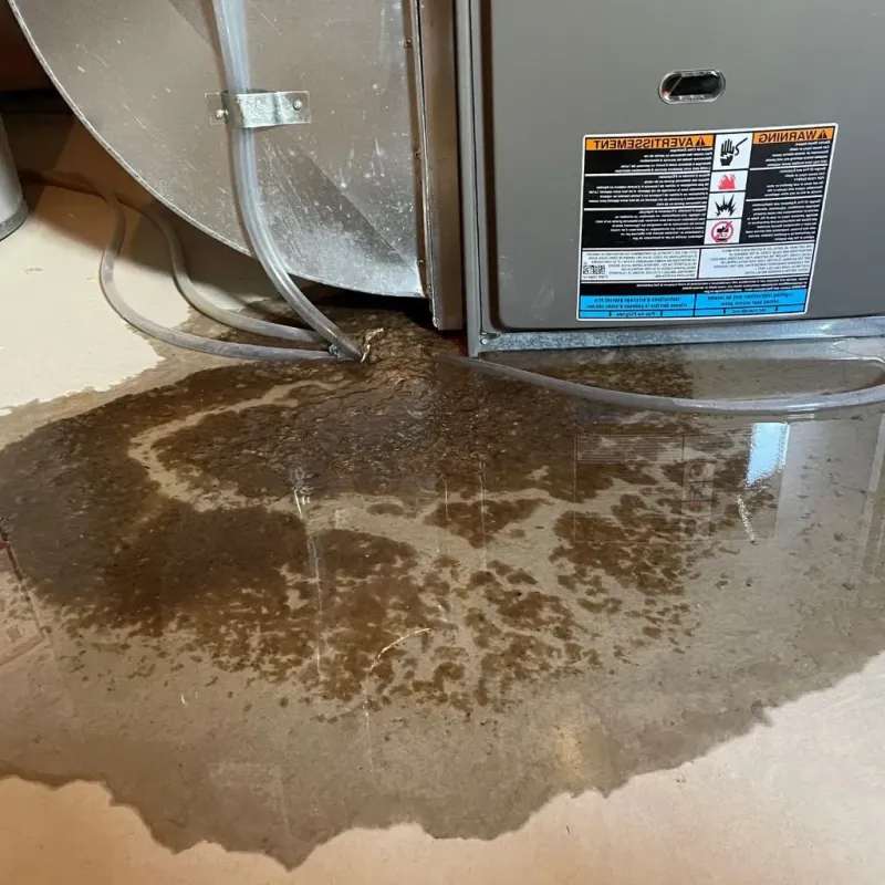 Pipe Burst and Leak Restoration in Haverstraw, NY